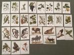 28 Chromos prenten fauna en flora van De Beukelaer koeken, Verzamelen, Foto's en Prenten, Ophalen of Verzenden, Gebruikt