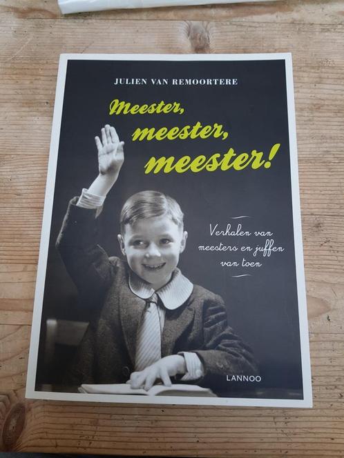 Julien van Remoortere - Meester, meester, meester!, Livres, Livres Autre, Comme neuf, Enlèvement ou Envoi