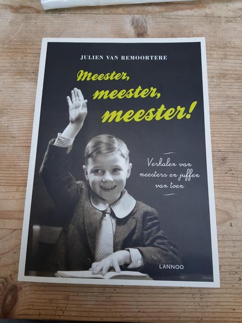 Julien van Remoortere - Meester, meester, meester!, Boeken, Overige Boeken, Zo goed als nieuw, Ophalen of Verzenden