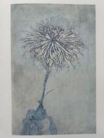 Piet MONDRIAAN - Origineel - Bloem (1974) - 32x24cm, Antiek en Kunst, Ophalen of Verzenden