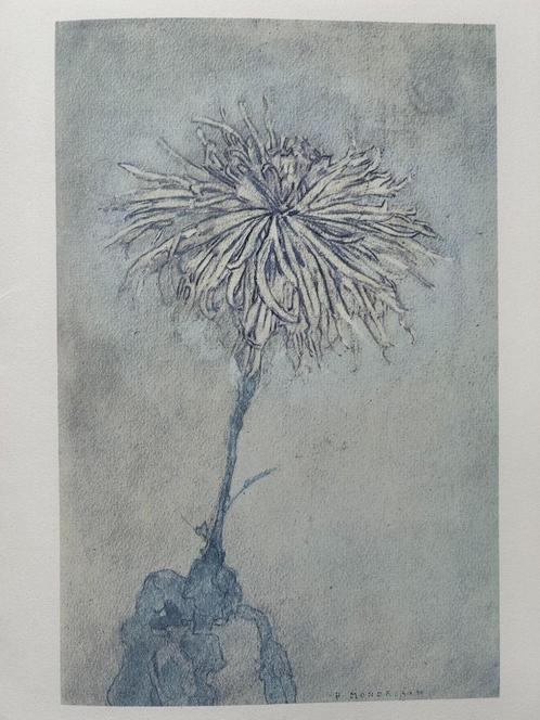 Piet MONDRIAAN - Origineel - Bloem (1974) - 32x24cm, Antiek en Kunst, Kunst | Litho's en Zeefdrukken, Ophalen of Verzenden