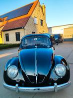 VW coccinelle ovale BWJ 1956 avec contrôle + garantie, 22 kW, Achat, Beige, Entreprise