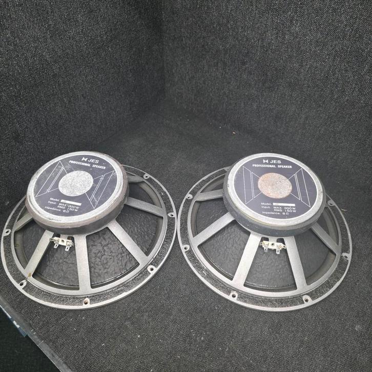 Diverse PRO speakers - rcf beyma jbl 18sound master, Audio, Tv en Foto, Luidsprekerboxen, Zo goed als nieuw, JBL, Ophalen of Verzenden