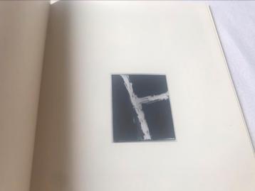 Raoul De Keyser schilderijen 50pag, Ophalen of Verzenden, Zo goed als nieuw, Schilder- en Tekenkunst