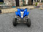 Yamaha Raptor 350, 350 cc, 1 cilinder, 11 kW of minder