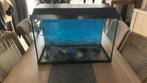 Aquarium primo 60, Dieren en Toebehoren, Ophalen