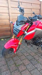 Moto honda MSX 125, Motoren, Motoren | Honda, Particulier, 125 cc