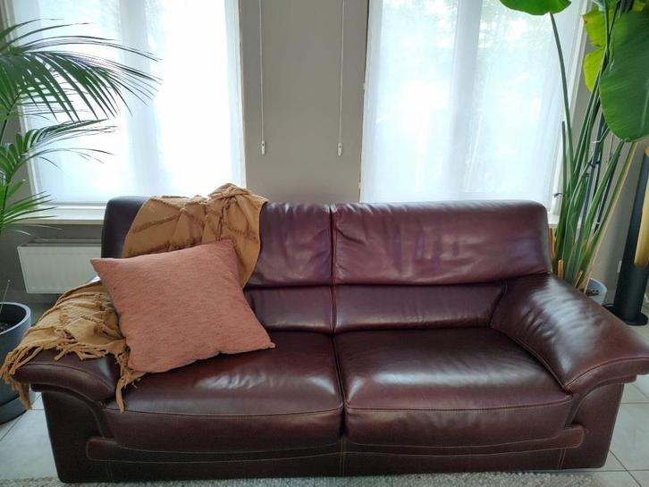 Salon (2 en 3 zit) in buffelleder, Huis en Inrichting, Zetels | Zetels, Zo goed als nieuw, Rechte bank, Driepersoons, 200 tot 250 cm