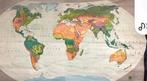 Grote oude wereldkaart 250x135 cm, Ophalen