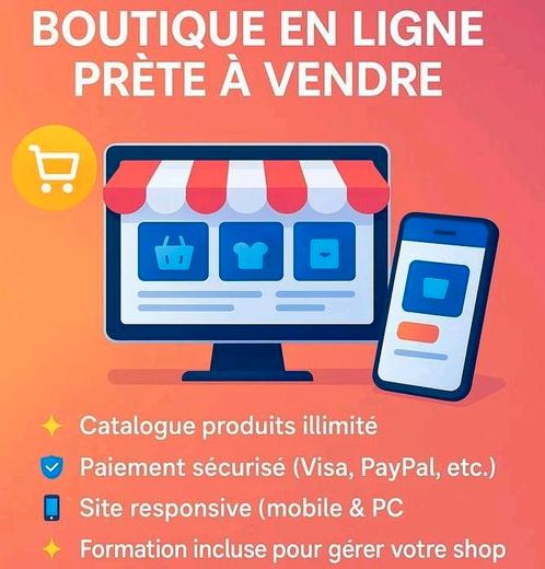 Online winkel klaar om te verkopen, Boeken, Informatica en Computer, Zo goed als nieuw, Ophalen of Verzenden