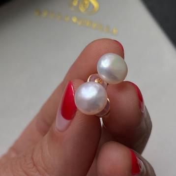 Oorbellen knopjes geel goud 18K zoetwaterparel beschikbaar voor biedingen