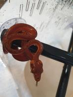 Corallus Hortulanus full red avec double ligne discontinue., Animaux & Accessoires, Reptiles & Amphibiens, Serpent, 0 à 2 ans