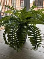Kunstplant varen, Huis en Inrichting, Ophalen, Zo goed als nieuw, Binnen