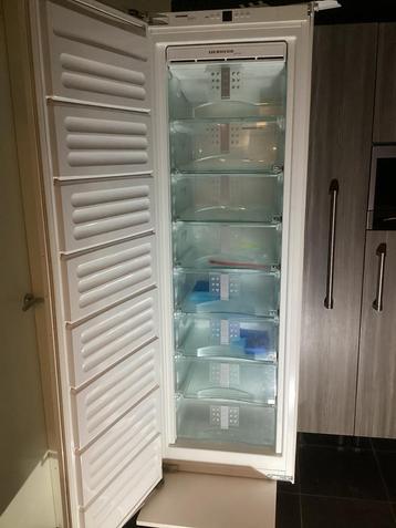 Liebherr diepvries, Elektronische apparatuur, Vriezers en Diepvrieskisten, 160 cm of meer, Inbouw, Niet werkend, Ophalen