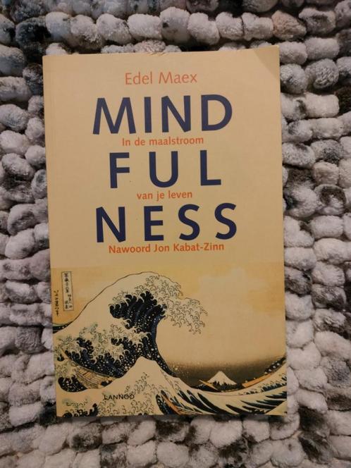 Edel Maex - Mindfullness, in de maalstroom van je leven, Boeken, Psychologie, Zo goed als nieuw, Ophalen of Verzenden