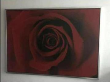 Canvas ikea rood roos