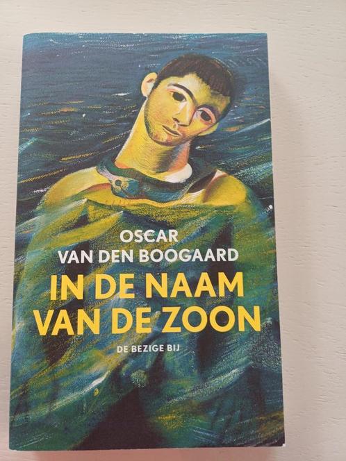 In de naam van de zoon, Boeken, Literatuur, Zo goed als nieuw, Nederland, Ophalen of Verzenden