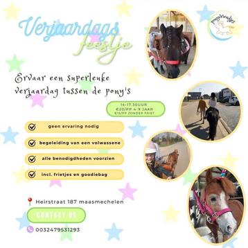 Pony kinderfeestjes beschikbaar voor biedingen