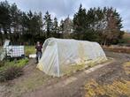 Plastique recherché pour une serre de 6 m sur 4 m, Enlèvement, Utilisé