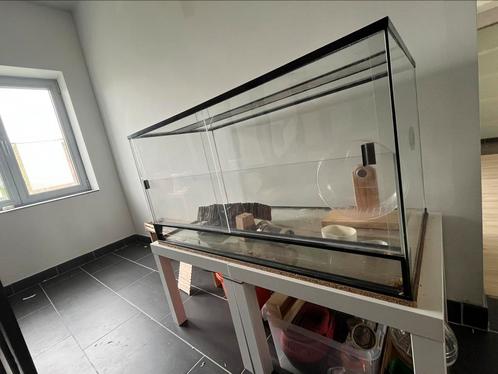 Terrarium voor hamster, Dieren en Toebehoren, Knaagdieren, Hamster