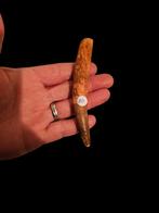 Gewortelde spinosaurus aegyptiacus tand 11,2 cm., Verzamelen, Ophalen of Verzenden, Fossiel