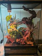 Bio-actief terrarium – zo goed als nieuw
Mooi en compleet, Enlèvement, Éclairage