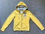 Pull Abercrombie&Fitch, Ophalen of Verzenden