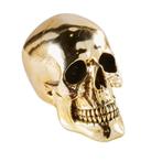 skull goud, Maison & Meubles, Accessoires pour la Maison | Bougeoirs & Bougies, Or, Chandelier, Enlèvement, Neuf