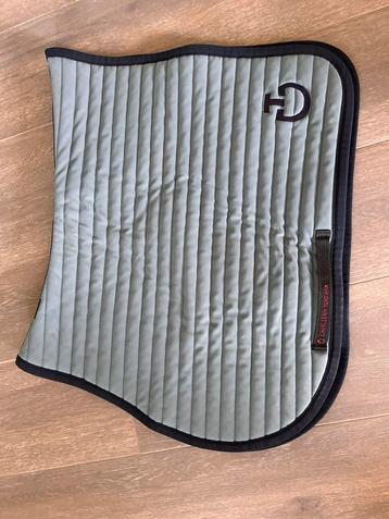 Zadeldoek cavalleria toscana beschikbaar voor biedingen