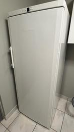 Liebherr diepvries, Gebruikt, 160 cm of meer, Energieklasse A of zuiniger, Ophalen