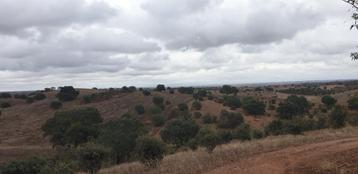 te renoveren boerenhuis op 4,2ha  Zuid-Portugal  B-Alentejo beschikbaar voor biedingen