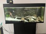 Aquarium rio 180 compleet, Ophalen, Zo goed als nieuw, Grind, Zand of Voedingsbodem