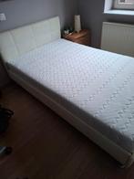 Twijfelaar, Ophalen, Twijfelaar, 120 cm