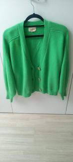 LOU LOU Studio ; groene cardigan 90 wol 10 cachmire, L., Taille 42/44 (L), Enlèvement ou Envoi, Comme neuf, Vert