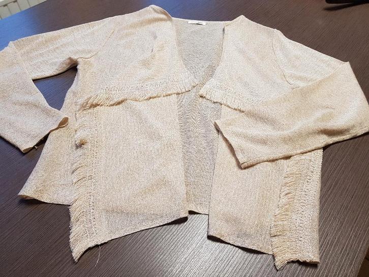 5 jaquetjes maat 42-44, Vêtements | Femmes, Pulls & Gilets, Comme neuf, Taille 42/44 (L), Bleu, Enlèvement