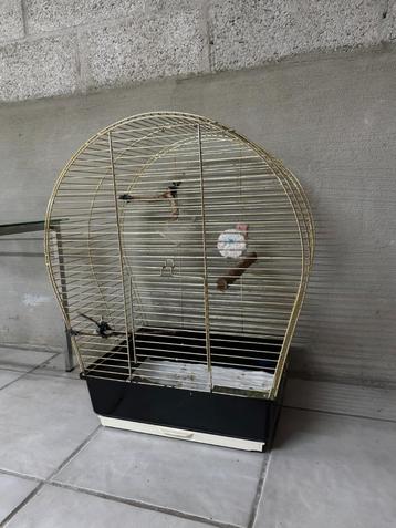 Gratis vogelkooi – op te halen in Kinrooi beschikbaar voor biedingen