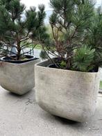 set van 2 bloempot in composiet beton met glasvezel, Ophalen, Tuin, Minder dan 60 cm, Vierkant