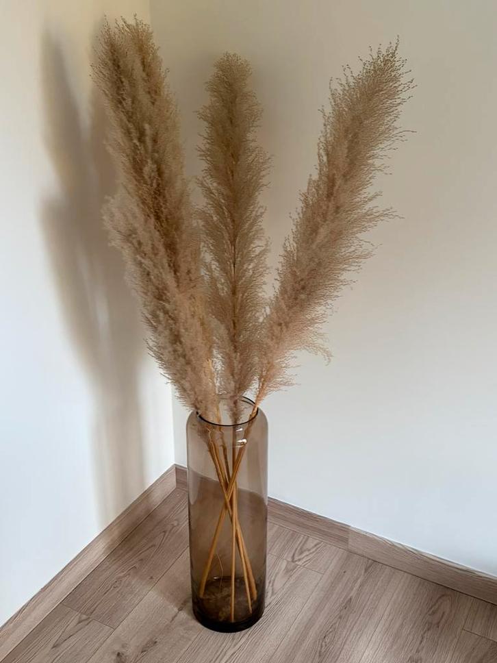 Grote beige vaas met pampas pluimen, Huis en Inrichting, Woonaccessoires | Droogbloemen, Zo goed als nieuw, Ophalen