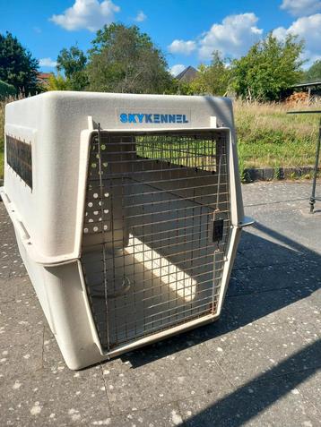 Grote bench in nette staat (maat XL) beschikbaar voor biedingen