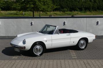 Alfa Romeo Duetto beschikbaar voor biedingen