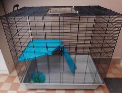 Cage pour petits rongeurs,  rats , furets en bon état, Animaux & Accessoires, Rongeurs & Lapins | Cages & Clapiers, Comme neuf