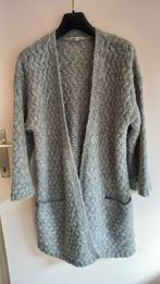 Supermooie lange gilet van Gigue maat 38, Kleding | Dames, Truien en Vesten, Ophalen of Verzenden, Zo goed als nieuw, Grijs, Gigue