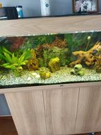 Aquarium 200l Complet avec meuble compris, éclairage décorat, Dieren en Toebehoren, Ophalen of Verzenden, Gebruikt, Leeg aquarium