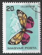 Hongarije 1966 - Yvert 1790 - Bonte Beer (ST), Postzegels en Munten, Postzegels | Europa | Hongarije, Verzenden, Gestempeld