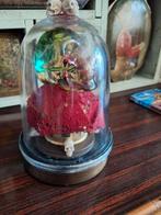 Memento Mori deco stuk, Ophalen of Verzenden, Zo goed als nieuw