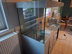 Aquarium 800l complet, Dieren en Toebehoren, Ophalen, Zo goed als nieuw