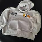 Hoodie, Kinderen en Baby's, Ophalen, Jongen of Meisje, Trui of Vest, Zo goed als nieuw