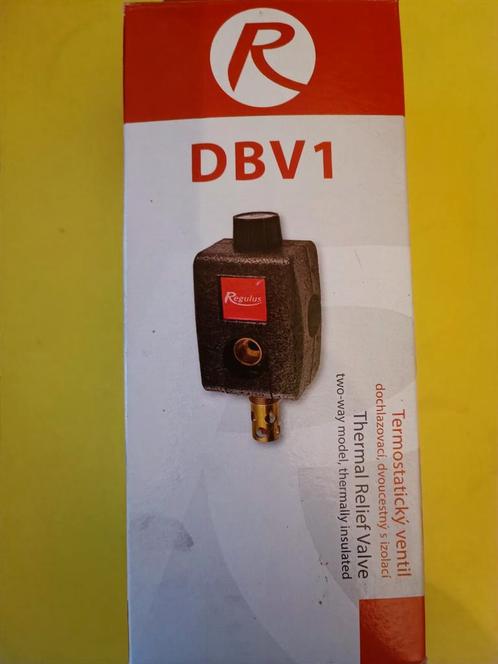 Soupape Régulus DBV1, Doe-het-zelf en Bouw, Verwarming en Radiatoren, Nieuw, Ophalen of Verzenden