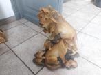 Posture Lion et famille, Enlèvement, Comme neuf, Animal
