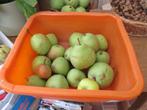 peren en appelen, Diversen, Levensmiddelen, Ophalen
